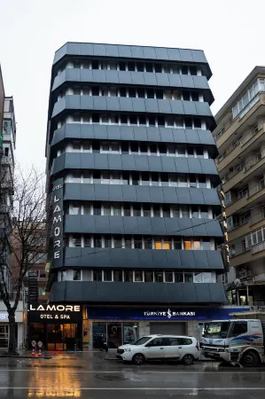 Lamore Hotel Отели рядом со станцией TCDD Ankara Gari