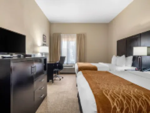 コンフォート・イン＆スイーツ・アトランタ/スミーナ スマーナのホテル