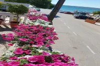 Apartment Marjan - One Bedroom Apartment with shared Terrace Hotels in Krusevo