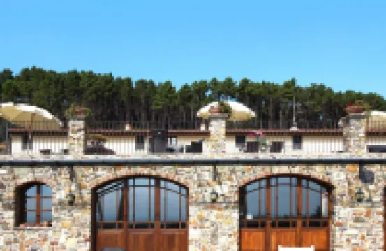 Estate in Monte Serra with Pool & Olive Views