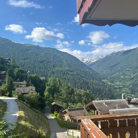 Gracious apartment in Veysonnaz