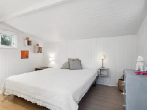 "Felis" - 75m from the Sea