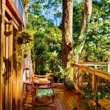 Jungle Spirit Treehouse Hotel Exterior