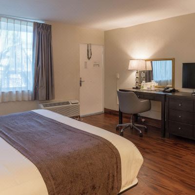 Comfort Single Room, 1 King Bed, Non Smoking Ocean Reef Hotel Promo Code