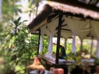 Emerald Sea Resort - spa