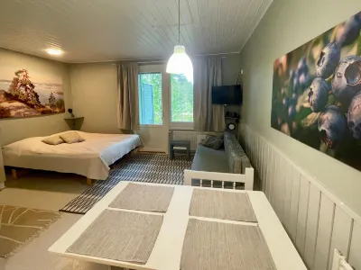 Loma-Koli 1 فنادق في 