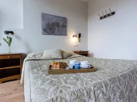 Logis Regina Hotels in La Bourboule