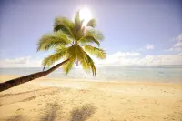 Tamanu Beach Resort - ติดทะเล