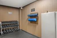 Best Western Plus Carlton Plaza Hotel - Træningscentre