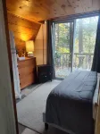 Wintery Cabin-Berkshires! Dog-Friendly. Hike/Ski Appalachian Tr. Walk to Lake!