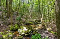 Georgia Mtn Cabin w/ Hot Tub Near Cloudland Canyon - Wifi