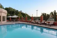 Hilton Garden Inn Harrisburg East - Pools