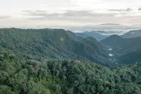 Bellavista Cloud Forest Reserve & Lodge - 2-Star