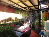 Greenview Holiday Inn