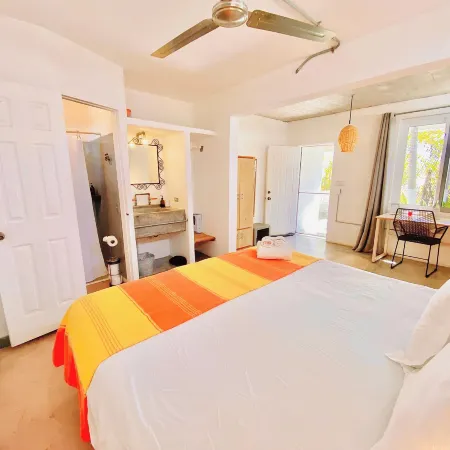 Perro Surfero Hotel Boutique - Todos Santos, Bcs