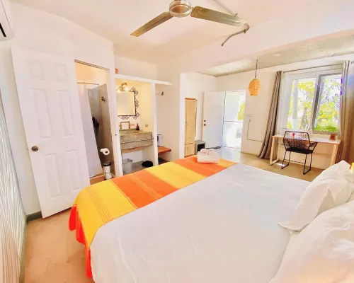 Perro Surfero Hotel Boutique - Todos Santos, Bcs Hotels in Todos Santos