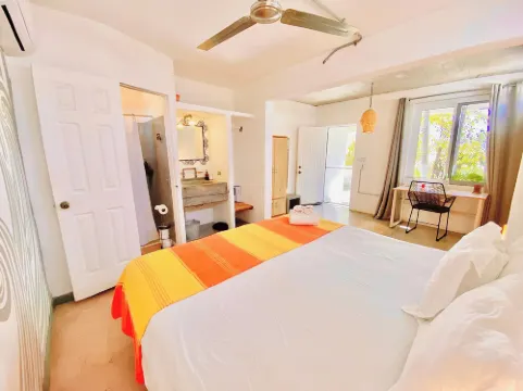 Perro Surfero Hotel Boutique - Todos Santos, Bcs