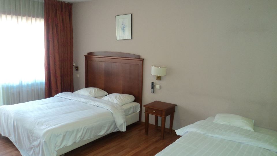 Albert Hotel