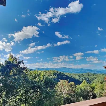 A Majestic View III