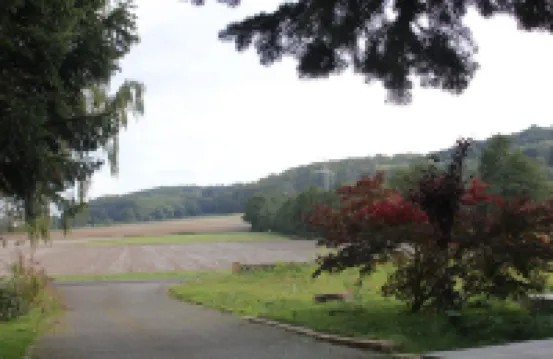 上層樓的度假公寓，霍姆貝格