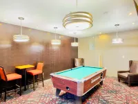 Black Gold Suites
