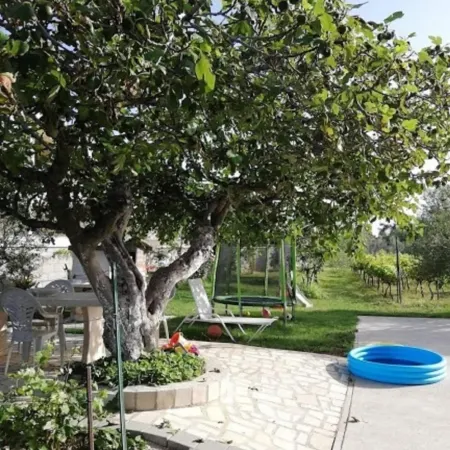 Apartment Ljilja