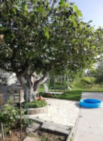 Apartment Ljilja