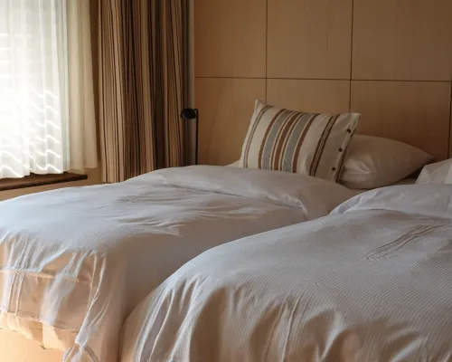 Alpia FlexiHomes Hotels in Grachen