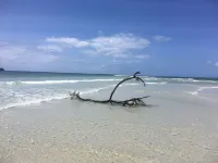 Cove House House 60 m2 Creekside Indian Ocean Hotels in Shimoni