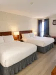 Maple Creek Motor Inn - Bar