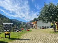 Steiert Panorama Apartments Todtnau - 3-Star