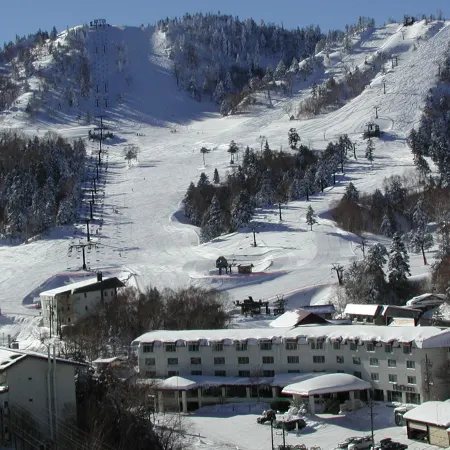 Kumanoyu Hotel