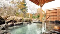 Ryokan Okayama - con terme