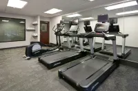 Fairfield Inn & Suites Charlottesville North - Gym