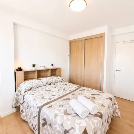 Terrasol J Piter 9 Planta