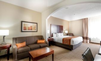 Comfort Inn & Suites Love Field-Dallas Market Center