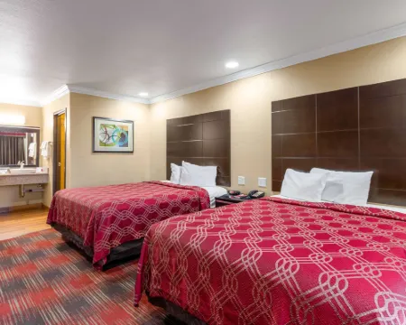 Econo Lodge Inn & Suites Escondido Downtown Hotels in Escondido