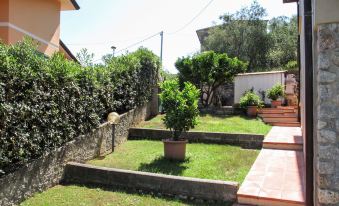 a beautiful garden with a variety of plants and trees , as well as a paved walkway leading to the house at Cristina