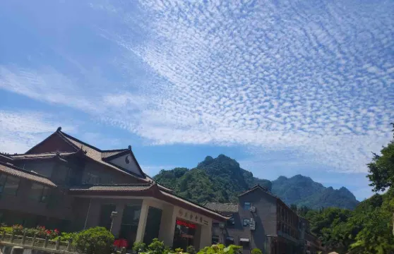 武當山太極會館