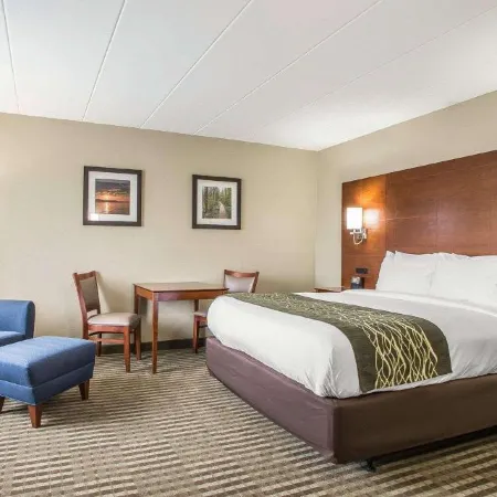 Comfort Inn Hammond I-94