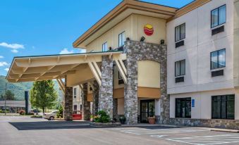 Comfort Inn Williamsport