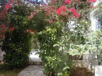 House with Garden Wala Hotels in 