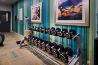 Holiday Inn Express & Suites ALAMOGORDO by IHG - Gym