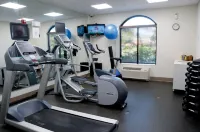 Holiday Inn Express & Suites MT. JULIET-NASHVILLE AREA by IHG - Gym