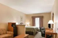 Quality Inn & Suites Houma Hotels in Houma