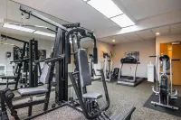 Comfort Inn & Suites Madison - Airport - Gym