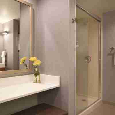 ハイアット プレイス シカゴ / オヘア エアポート Rooms