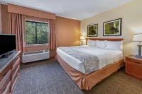 La Quinta Inn & Suites by Wyndham Tampa Brandon West - Private Pools