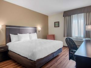 Econo Lodge Inn & Suites