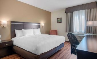 Econo Lodge Inn & Suites